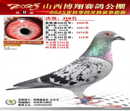 山西博翔决赛310名