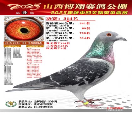 山西博翔决赛314名