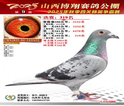 山西博翔决赛319名