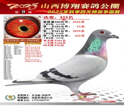 山西博翔决赛323名