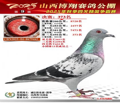 山西博翔决赛373名