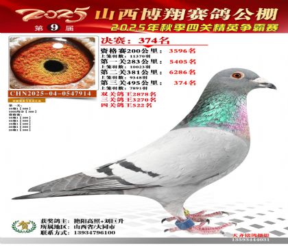 山西博翔决赛374名