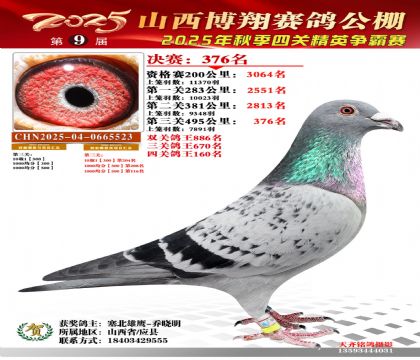 山西博翔决赛376名