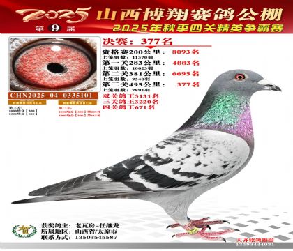 山西博翔决赛377名