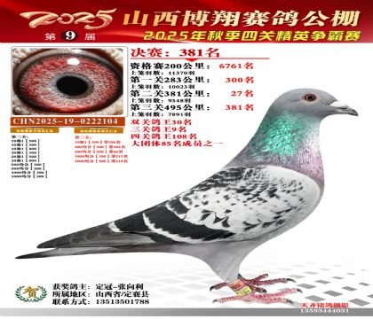 山西博翔决赛381名(三关鸽王9名)