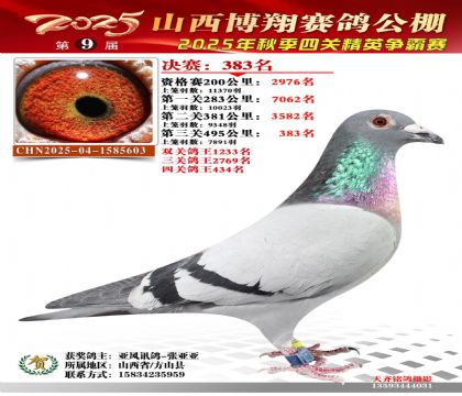 山西博翔决赛383名