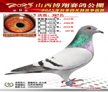 山西博翔决赛387名