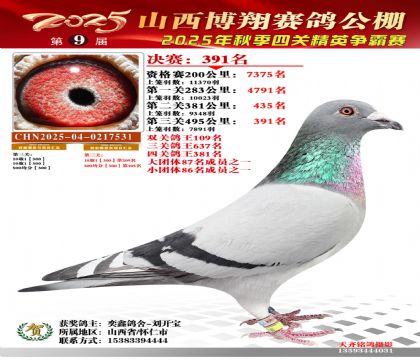 山西博翔决赛391名