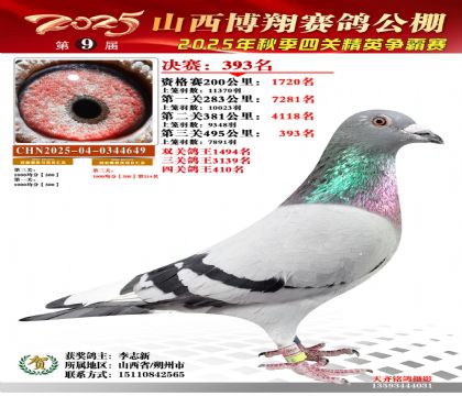 山西博翔决赛393名