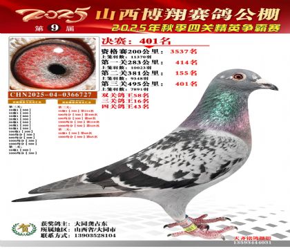 山西博翔决赛401名