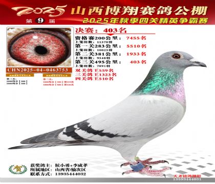 山西博翔决赛403名