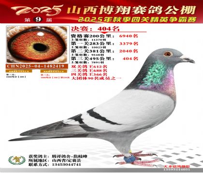 山西博翔决赛404名