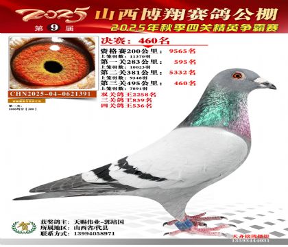 山西博翔决赛460名