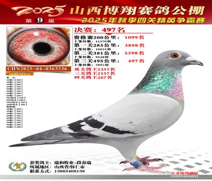 山西博翔决赛497名