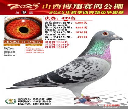 山西博翔决赛499名