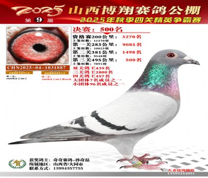 山西博翔决赛500名