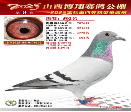 山西博翔決賽502名