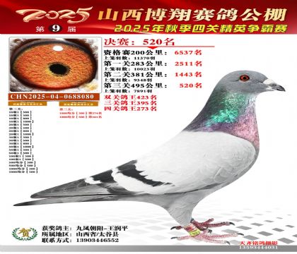 山西博翔決賽520名