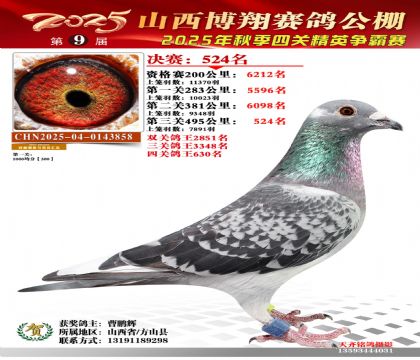 山西博翔決賽524名