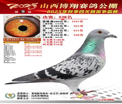 山西博翔決賽528名