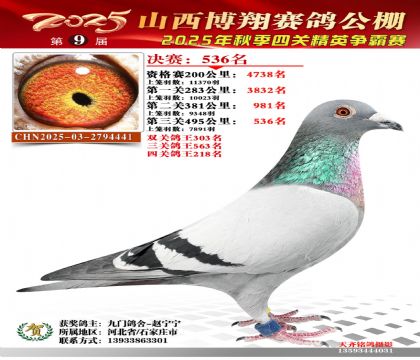 山西博翔決賽536名