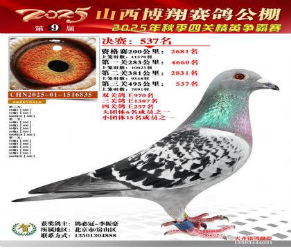 山西博翔決賽537名