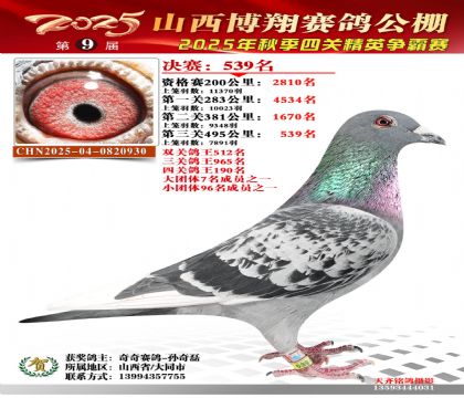 山西博翔決賽539名