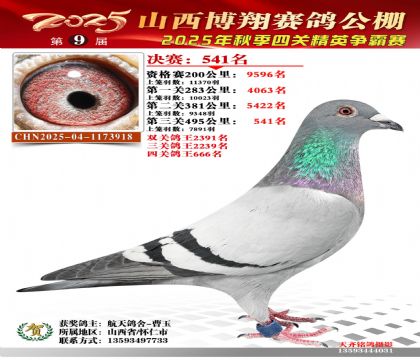 山西博翔決賽541名