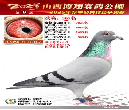 山西博翔決賽565名