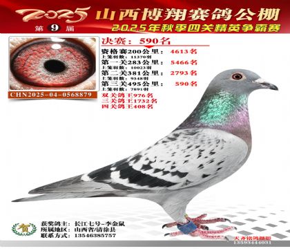 山西博翔決賽590名