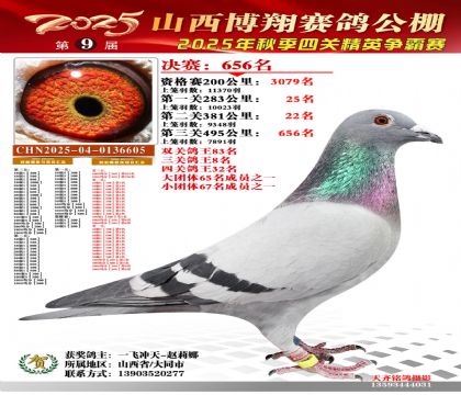 山西博翔決賽656名(三關(guān)鴿王8名)
