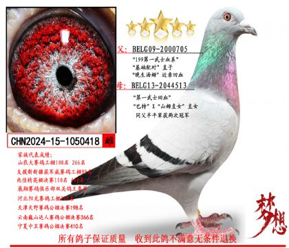 桑杰士第一武士(超級(jí)金母)