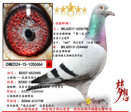 桑杰士(第一武士)頂級(jí)種雄