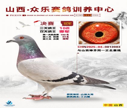 山西眾樂決賽冠軍(雙關(guān)鴿王季軍)