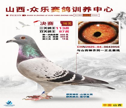 山西眾樂決賽16名