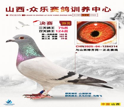 山西眾樂決賽29名