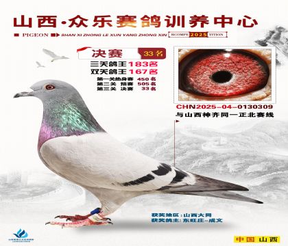 山西眾樂決賽33名