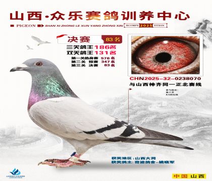 山西眾樂決賽83名