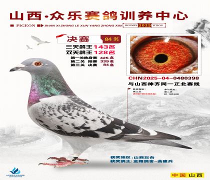 山西眾樂決賽84名