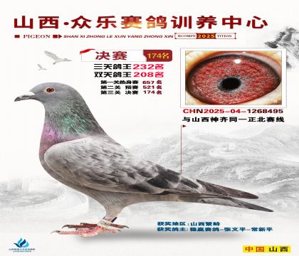 山西眾樂(lè)決賽174名