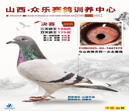 山西眾樂決賽205名