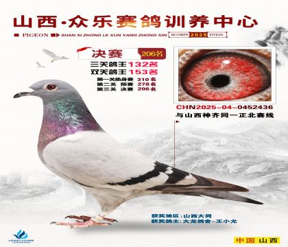 山西眾樂決賽206名