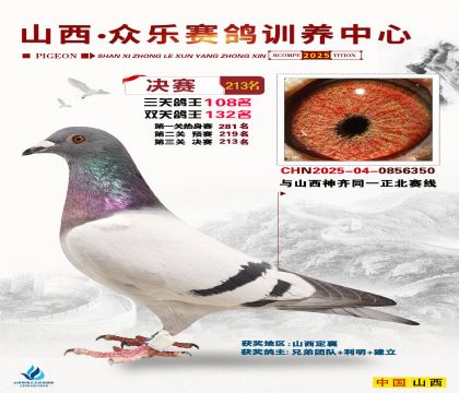 山西眾樂決賽213名