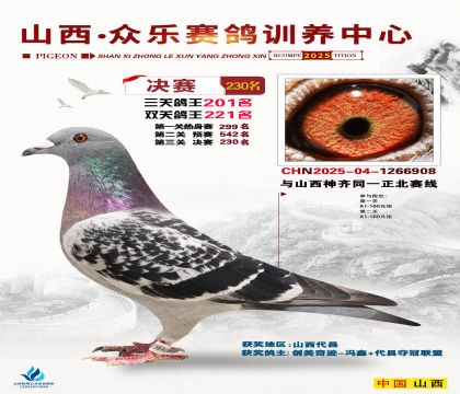 山西眾樂決賽230名