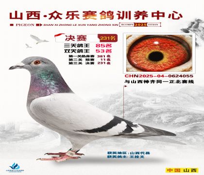 山西眾樂決賽231名