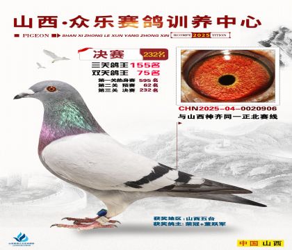 山西眾樂決賽232名