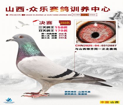 山西眾樂決賽233名