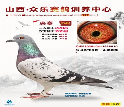 山西眾樂決賽234名