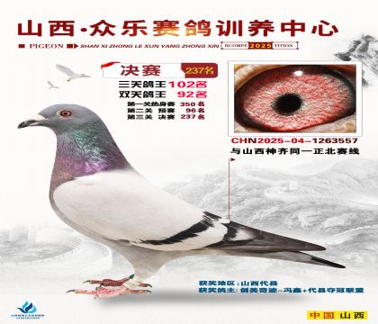 山西眾樂決賽237名