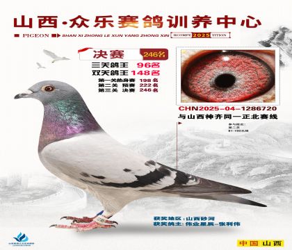 山西眾樂決賽246名